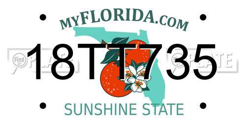 18TT735 Florida License Plate