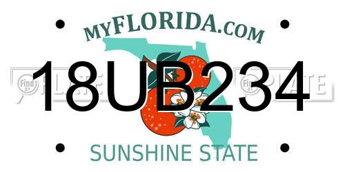 18UB234 Florida License Plate