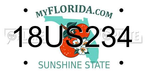 18US234 Florida License Plate