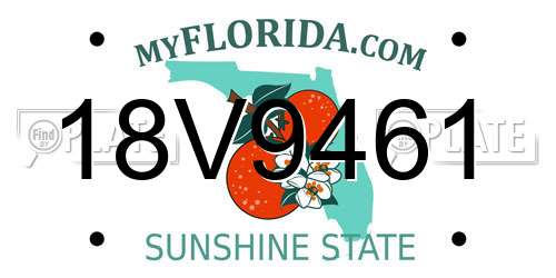 18V9461 Florida License Plate