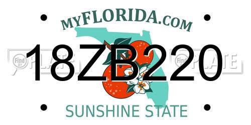 18ZB220 Florida License Plate