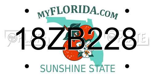 18ZB228 Florida License Plate