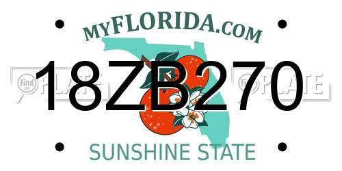 18ZB270 Florida License Plate