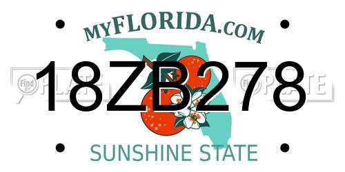 18ZB278 Florida License Plate