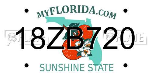 18ZB720 Florida License Plate