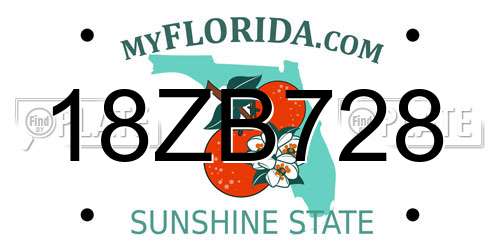 18ZB728 Florida License Plate