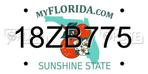 18ZB775 Florida License Plate