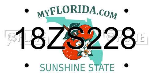 18ZS228 Florida License Plate