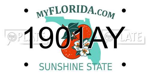 1901AY Florida License Plate