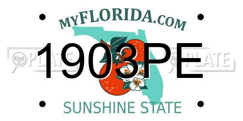 1903PE Florida License Plate
