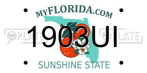 1903UI Florida License Plate