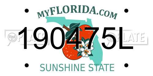 190475L Florida License Plate