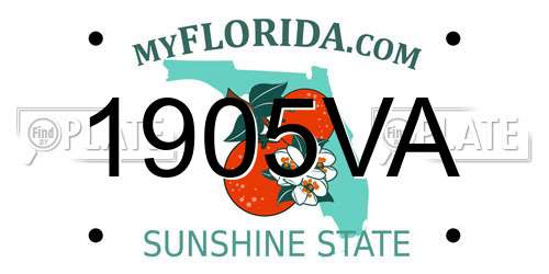 1905VA Florida License Plate