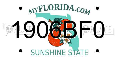 1906BF0 Florida License Plate