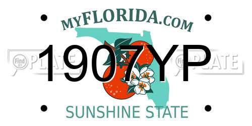 1907YP Florida License Plate