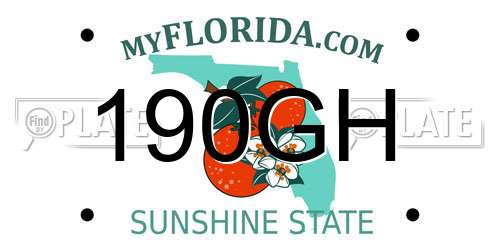 190GH Florida License Plate