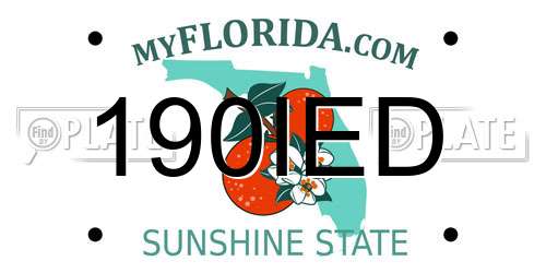 190IED Florida License Plate