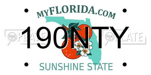 190NTY Florida License Plate