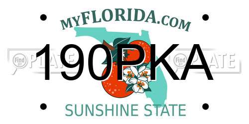 190PKA Florida License Plate