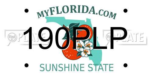 190PLP Florida License Plate
