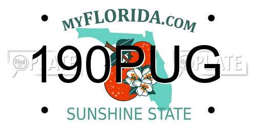 190PUG Florida License Plate