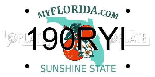 190RYI Florida License Plate