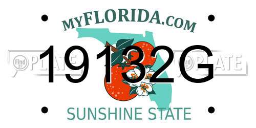 19132G Florida License Plate