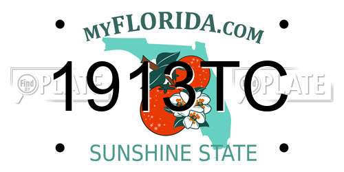 1913TC Florida License Plate