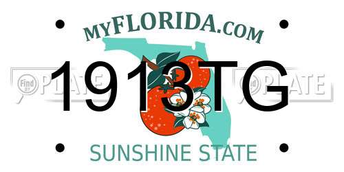 1913TG Florida License Plate