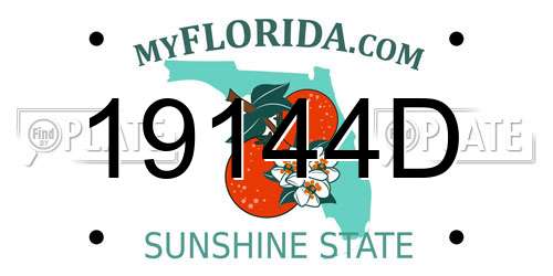 19144D Florida License Plate