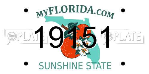19151 Florida License Plate