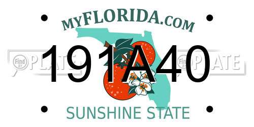 191A40 Florida License Plate