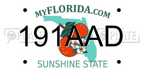 191AAD Florida License Plate