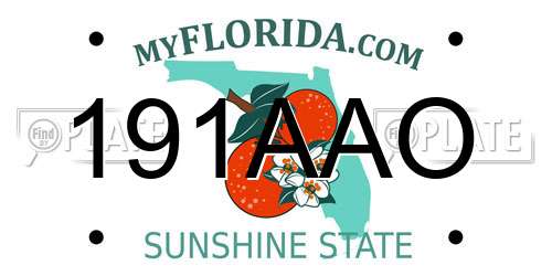 191AAO Florida License Plate