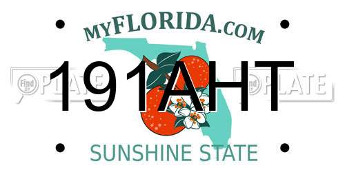 191AHT Florida License Plate