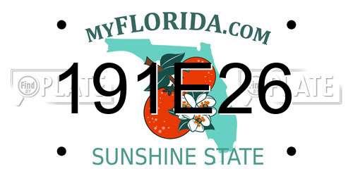 191E26 Florida License Plate