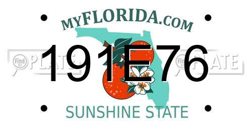 191E76 Florida License Plate