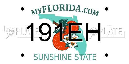 191EH Florida License Plate