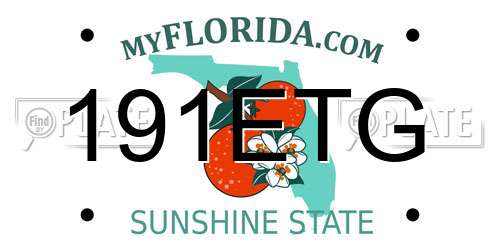 191ETG Florida License Plate