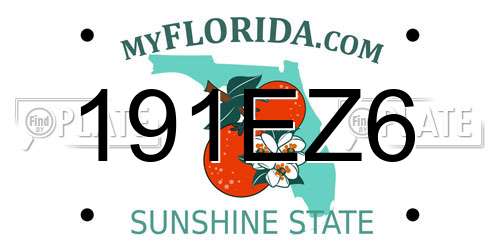 191EZ6 Florida License Plate
