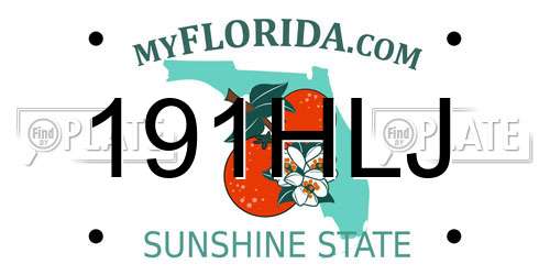 191HLJ Florida License Plate