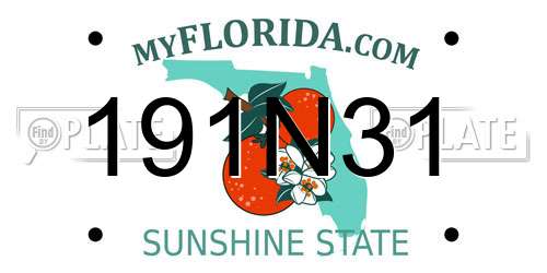 191N31 Florida License Plate