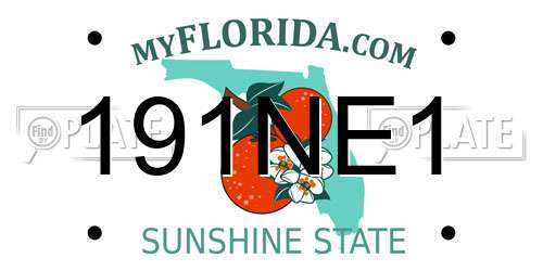 191NE1 Florida License Plate