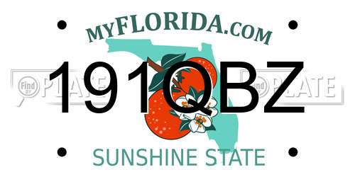 191QBZ Florida License Plate