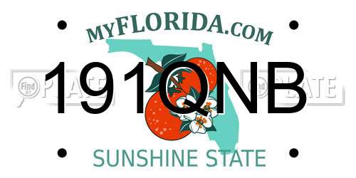 191QNB Florida License Plate