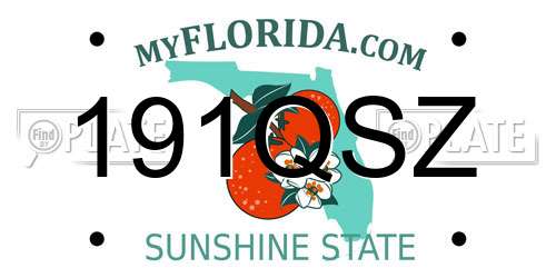 191QSZ Florida License Plate