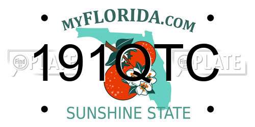 191QTC Florida License Plate