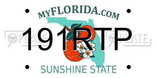 191RTP Florida License Plate