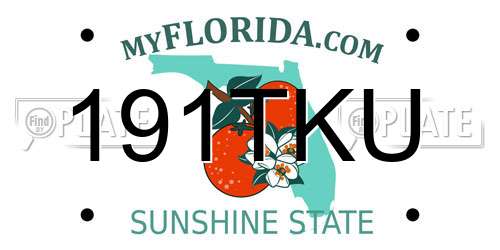 191TKU Florida License Plate