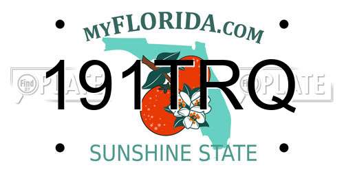 191TRQ Florida License Plate